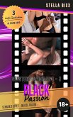 BLACK PASSION - Sexstory-Sampler 1 - 3 (eBook, ePUB)