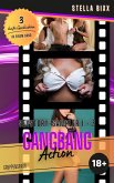 GANGBANG ACTION - Sexstory-Sampler 1 - 3 (eBook, ePUB)