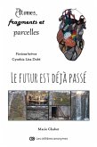 Atomes, fragments et parcelles - Le futur est déjà passé (eBook, ePUB) Atomes, fragments et parcelles - Le futur est déjà passé (eBook, ePUB)