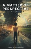 A Matter of Perspective (eBook, ePUB)