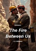The Fire Between Us (For The Love Of, #3) (eBook, ePUB)