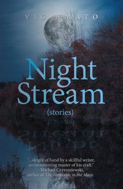 Night Stream (eBook, ePUB)