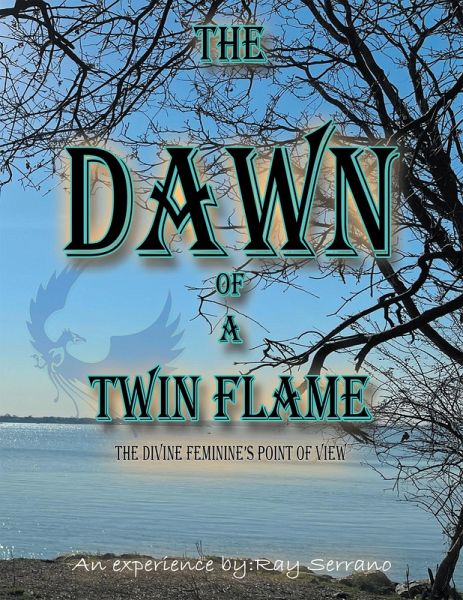 The Dawn of a Twin Flames (eBook, ePUB) The Dawn of a Twin Flames (eBook, ePUB)
