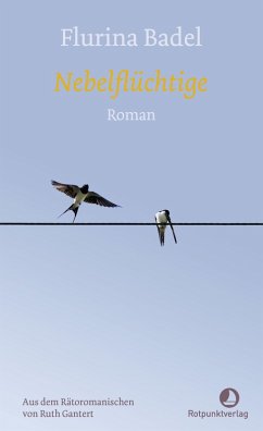 Nebelflüchtige (eBook, ePUB) - Badel, Flurina