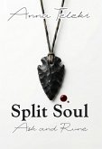 Split Soul (Love in Paris) (eBook, ePUB)