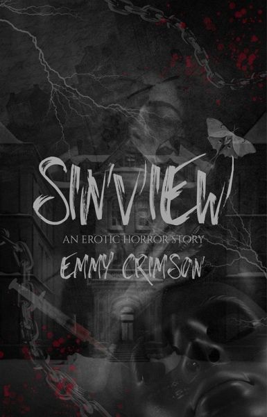 Sinview (eBook, ePUB)