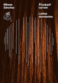 Ä'kyajupä' tza'ram / Lutitas durmientes (eBook, ePUB)
