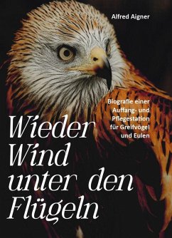 Cover Wieder Wind unter den Flügeln