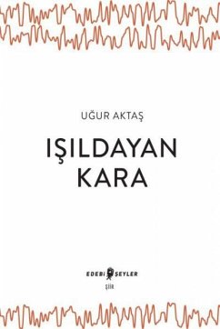 Cover Isildayan Kara