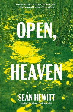Open, Heaven - Hewitt, Seán