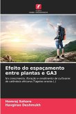 Efeito do espaçamento entre plantas e GA3