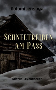 Cover Schneetreiben am Pass