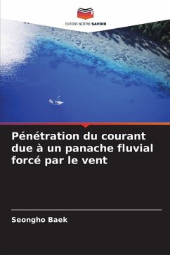 Cover Pénétration du courant due à un panache fluvial forcé par le vent