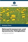 Netzwerkressourcen und dynamische Fähigkeiten