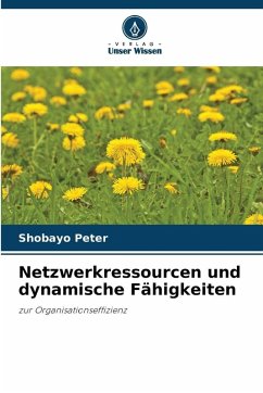 Netzwerkressourcen und dynamische Fähigkeiten - Peter, Shobayo Netzwerkressourcen und dynamische Fähigkeiten - Peter, Shobayo