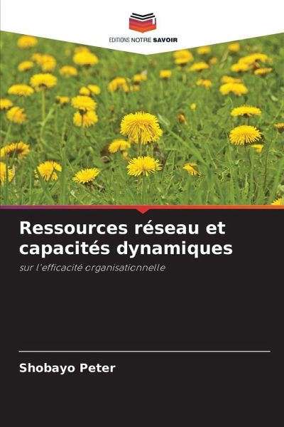 Ressources réseau et capacités dynamiques Ressources réseau et capacités dynamiques