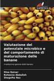 Valutazione del potenziale microbico e del comportamento di maturazione delle banane
