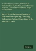 Report Upon the Reconnaissance of Northwestern Wyoming, Including Yellowstone National Park, Made in the Summer of 1873