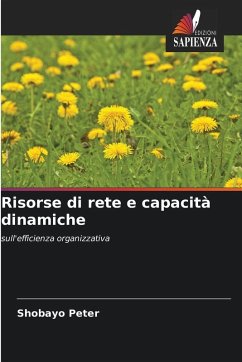 Cover Risorse di rete e capacità dinamiche