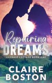 Repairing Dreams
