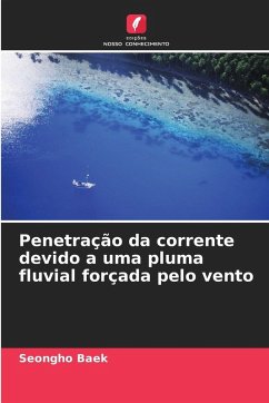 Penetração da corrente devido a uma pluma fluvial forçada pelo vento - Baek, Seongho