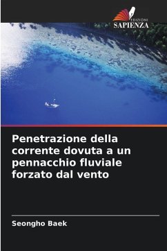 Cover Penetrazione della corrente dovuta a un pennacchio fluviale forzato dal vento