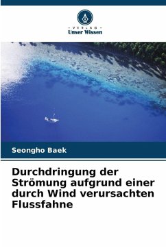 Cover Durchdringung der Strömung aufgrund einer durch Wind verursachten Flussfahne