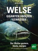 Welse - Giganten unserer Gewässer
