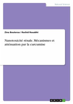 Nanotoxicité rénale. Mécanismes et atténuation par la curcumine