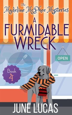Cover A Furmidable Wreck