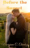 Before the Sunset (eBook, ePUB)