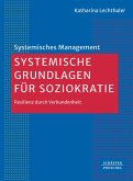 Systemische Grundlagen für Soziokratie (eBook, PDF)