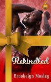 Rekindled (eBook, ePUB)