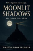 Moonlit Shadows: The Loop of Île au Phare (eBook, ePUB)