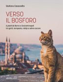 Verso il Bosforo (eBook, ePUB)