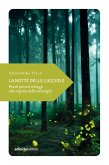 La notte delle lucciole (eBook, ePUB)