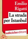 La strada per Istanbul (eBook, ePUB)