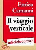 Il viaggio verticale (eBook, ePUB)