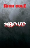 Above (eBook, ePUB)