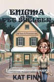 Enigma at the Pet Shelter (A Brandy Broot Mystery, #3) (eBook, ePUB)