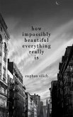 How Impossibly Beautiful Everything Really Is (eBook, ePUB)
