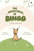 The Adventures of Bingo