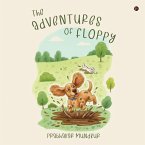 The Adventures of Floppy