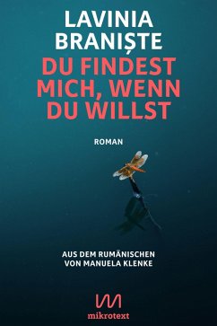 Cover Du findest mich, wenn du willst