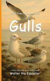 It's Time to Learn about Gulls