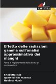 Effetto delle radiazioni gamma sull'analisi approssimativa dei manghi