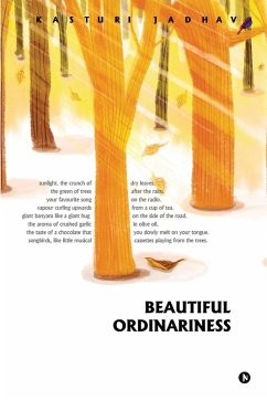 Cover Beautiful Ordinariness