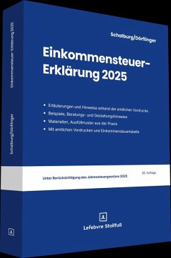 Einkommensteuer-Erklärung 2025 - Schalburg, Martin; Dörflinger, Nina