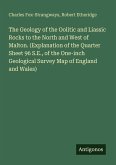 The Geology of the Oolitic and Liassic Rocks to the North and West of Malton. (Explanation of the Quarter Sheet 96 S.E., of the One-inch Geological Survey Map of England and Wales)