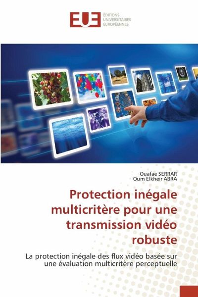 Protection inégale multicritère pour une transmission vidéo robuste Protection inégale multicritère pour une transmission vidéo robuste